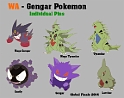 WA-Gengar Pokemon_Set